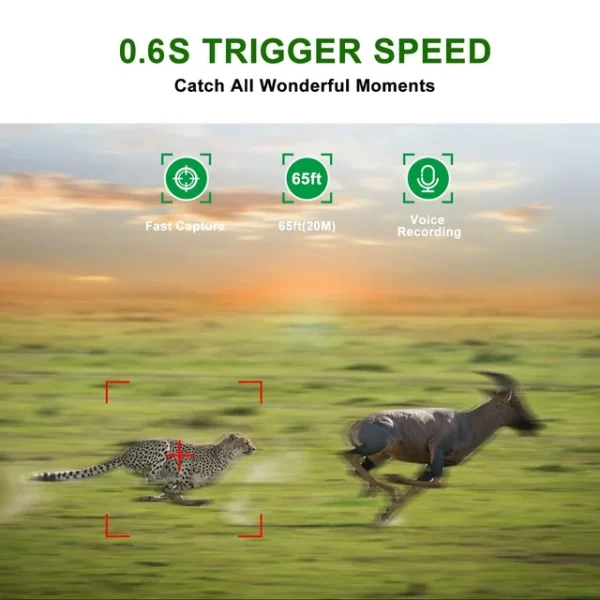 VILINICE Updated Trail Camera, 20MP 1080P HD Game Camera with Night Vision, Wildlife Waterproof Hunting Camera Wildgame, Hunting Trail Monitors