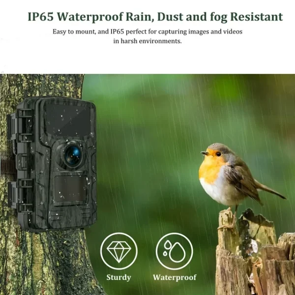 VILINICE Updated Trail Camera, 20MP 1080P HD Game Camera with Night Vision, Wildlife Waterproof Hunting Camera Wildgame, Hunting Trail Monitors