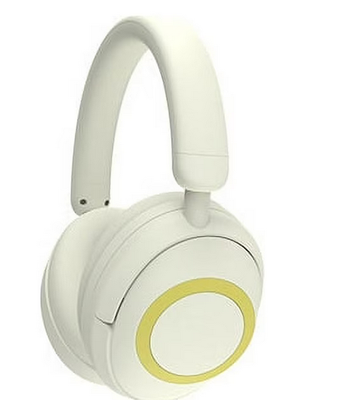 VILINICE Ear Monitor Headphone with Noise-cancelling Detachable Microphone, Bluetooth Rechargeable Over Ear Headphones for Conference, Call, Reading, Singing